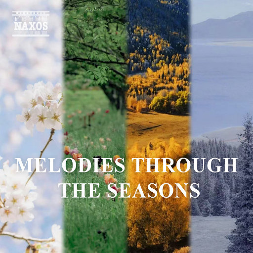 日本色情视频在线
